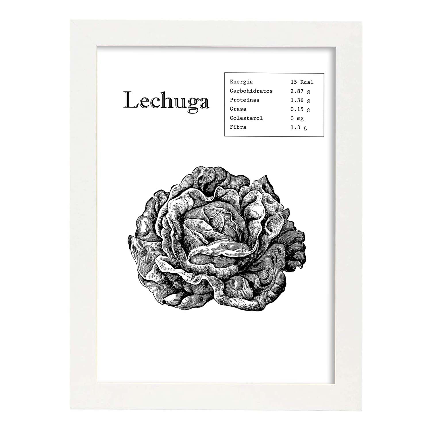 Poster de Lechuga. Láminas de frutas y verduras.-Artwork-Nacnic-A4-Marco Blanco-Nacnic Estudio SL