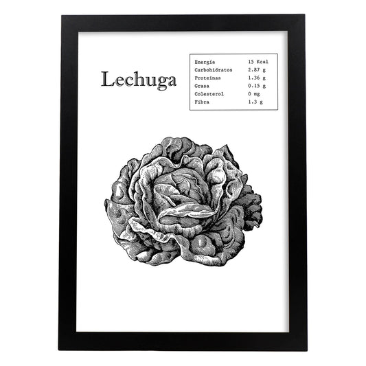 Poster de Lechuga. Láminas de frutas y verduras.-Artwork-Nacnic-A4-Marco Negro-Nacnic Estudio SL