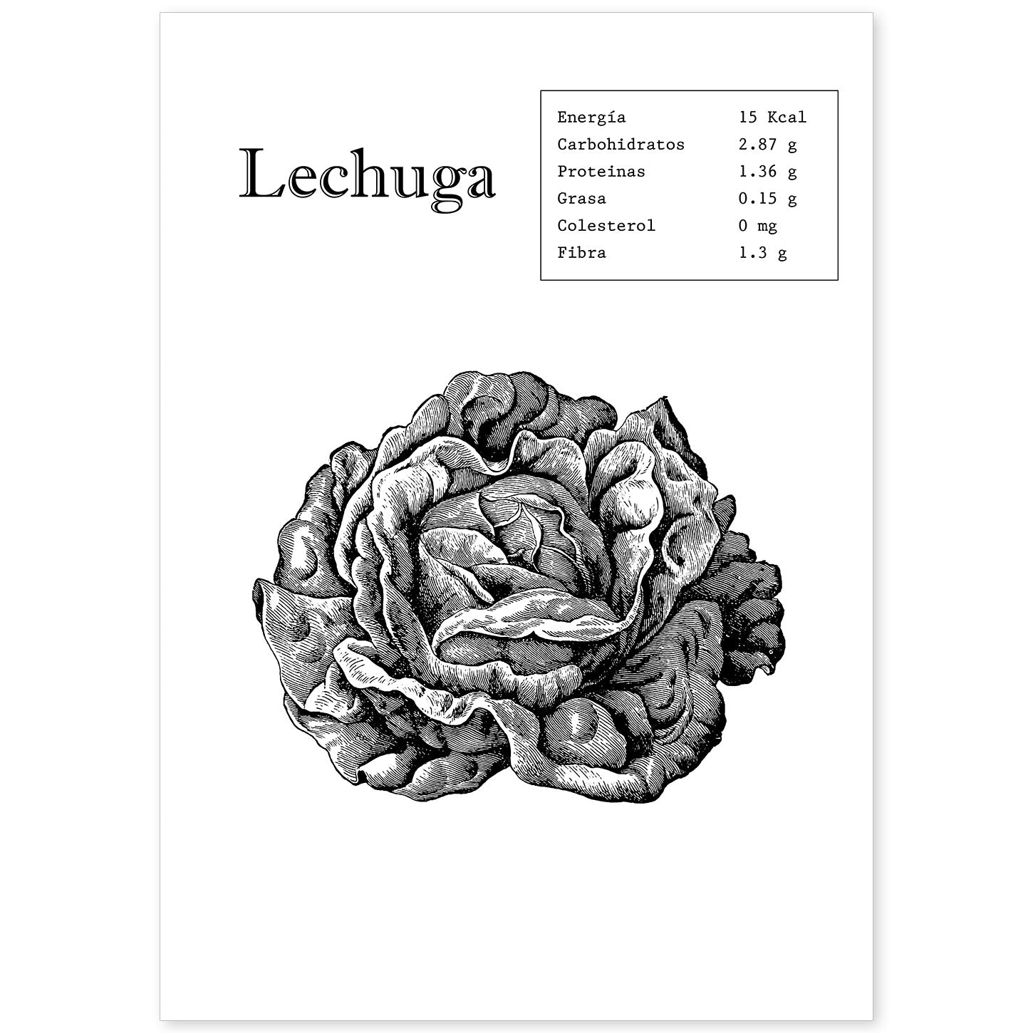 Poster de Lechuga. Láminas de frutas y verduras.-Artwork-Nacnic-A4-Sin marco-Nacnic Estudio SL