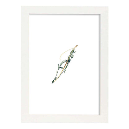 Poster de letra I. Lámina estilo Verde Fino con imágenes del alfabeto.-Artwork-Nacnic-A4-Marco Blanco-Nacnic Estudio SL