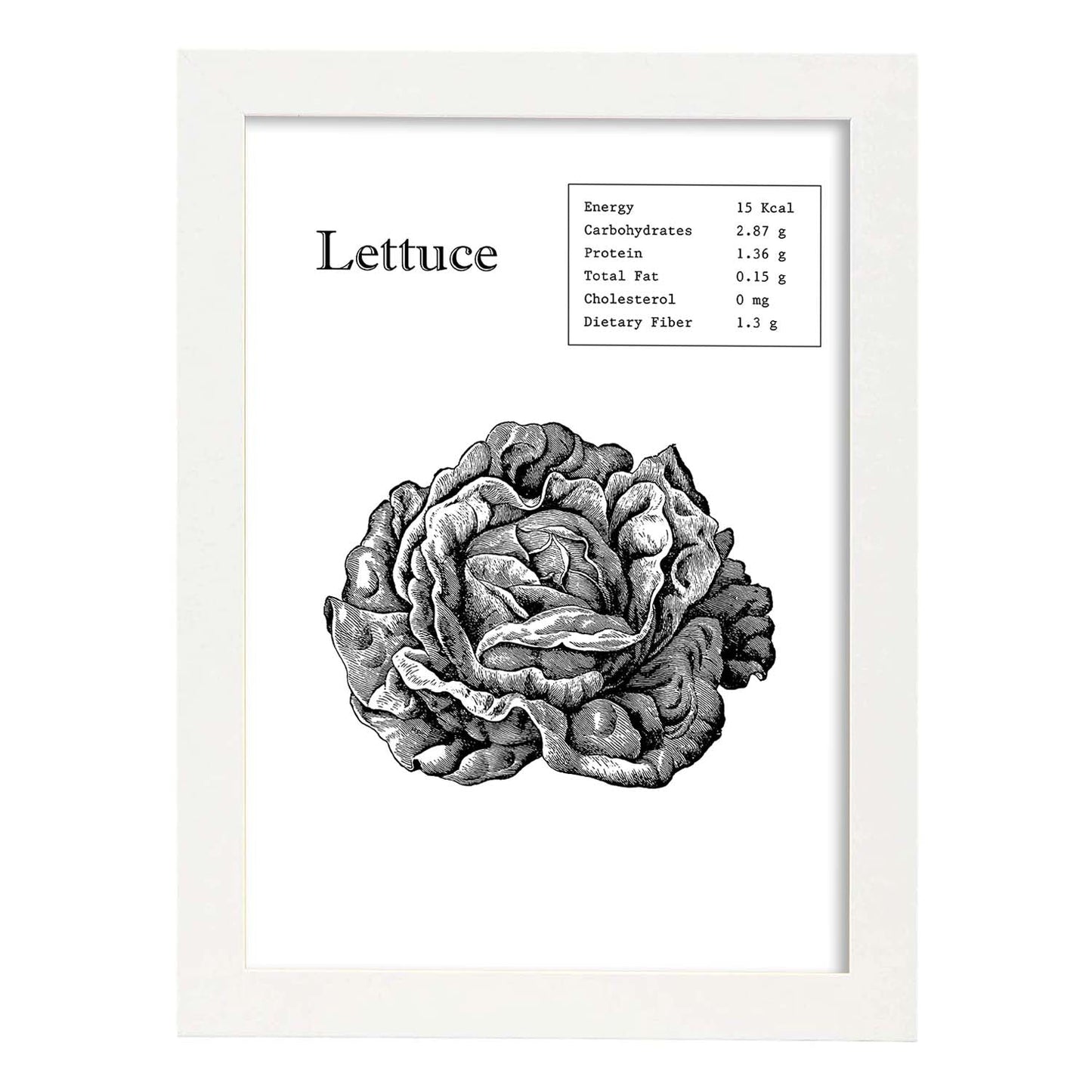 Poster de Lettuce. Láminas de frutas y verduras en inglés.-Artwork-Nacnic-A3-Marco Blanco-Nacnic Estudio SL