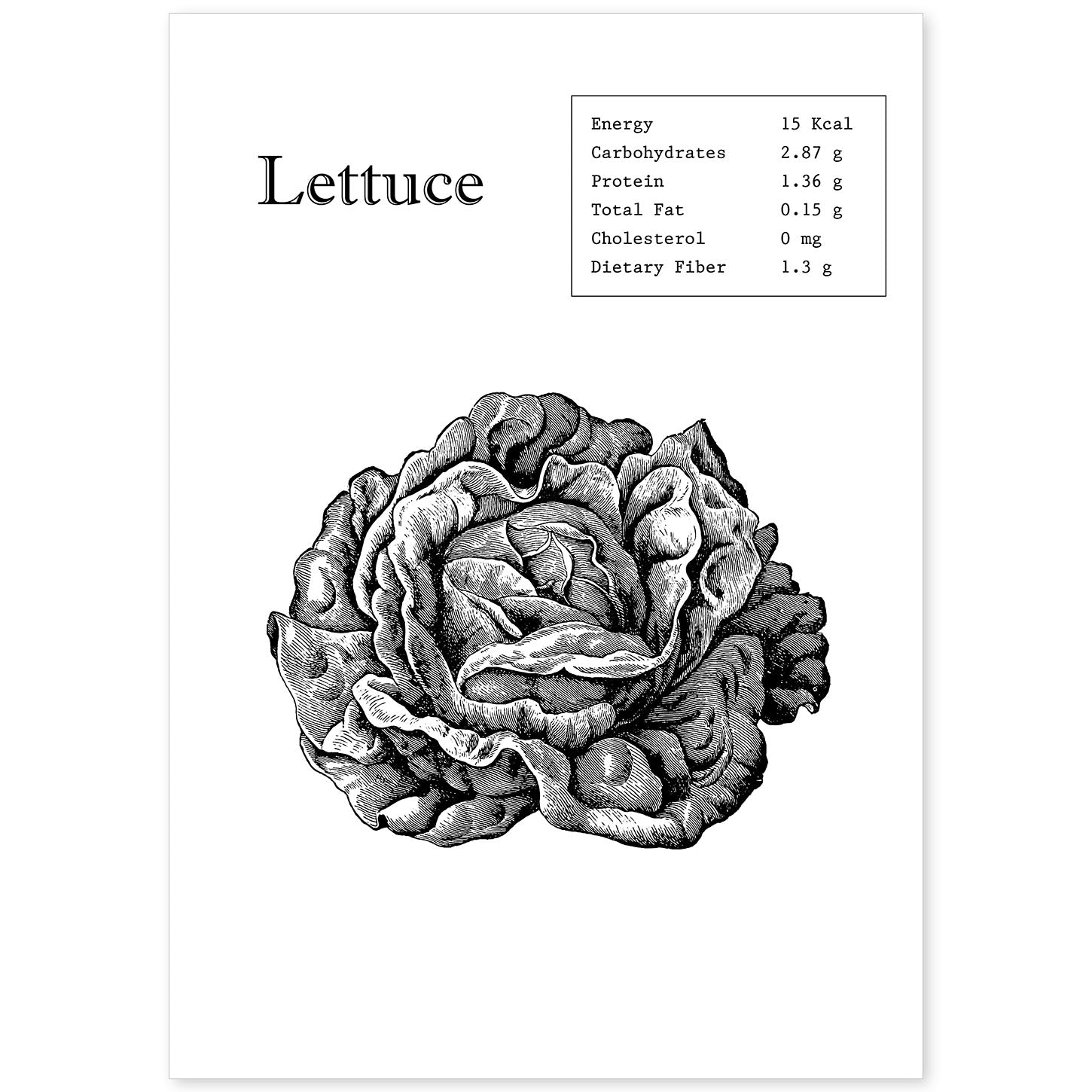 Poster de Lettuce. Láminas de frutas y verduras en inglés.-Artwork-Nacnic-A4-Sin marco-Nacnic Estudio SL