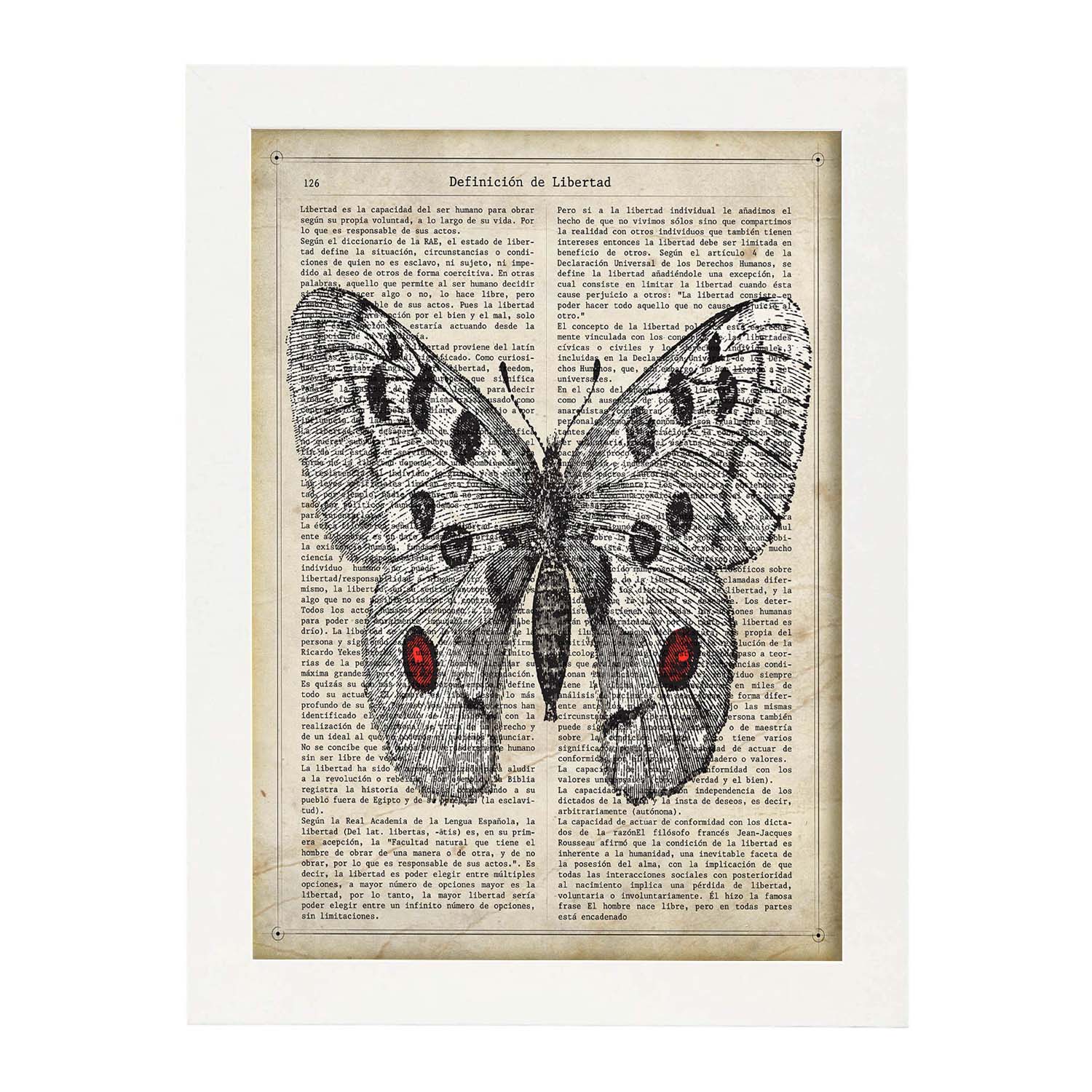 Poster de Mariposa Apollo. Láminas de mariposas. Decoración de mariposas y polillas.-Artwork-Nacnic-A3-Marco Blanco-Nacnic Estudio SL
