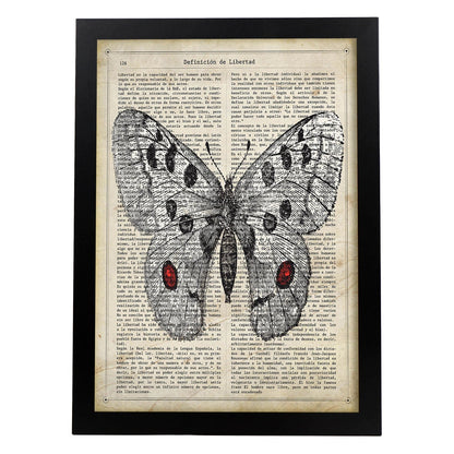 Poster de Mariposa Apollo. Láminas de mariposas. Decoración de mariposas y polillas.-Artwork-Nacnic-A4-Marco Negro-Nacnic Estudio SL