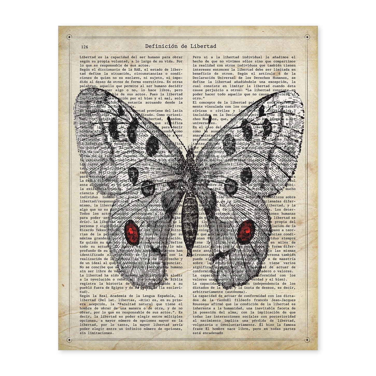 Poster de Mariposa Apollo. Láminas de mariposas. Decoración de mariposas y polillas.-Artwork-Nacnic-A4-Sin marco-Nacnic Estudio SL