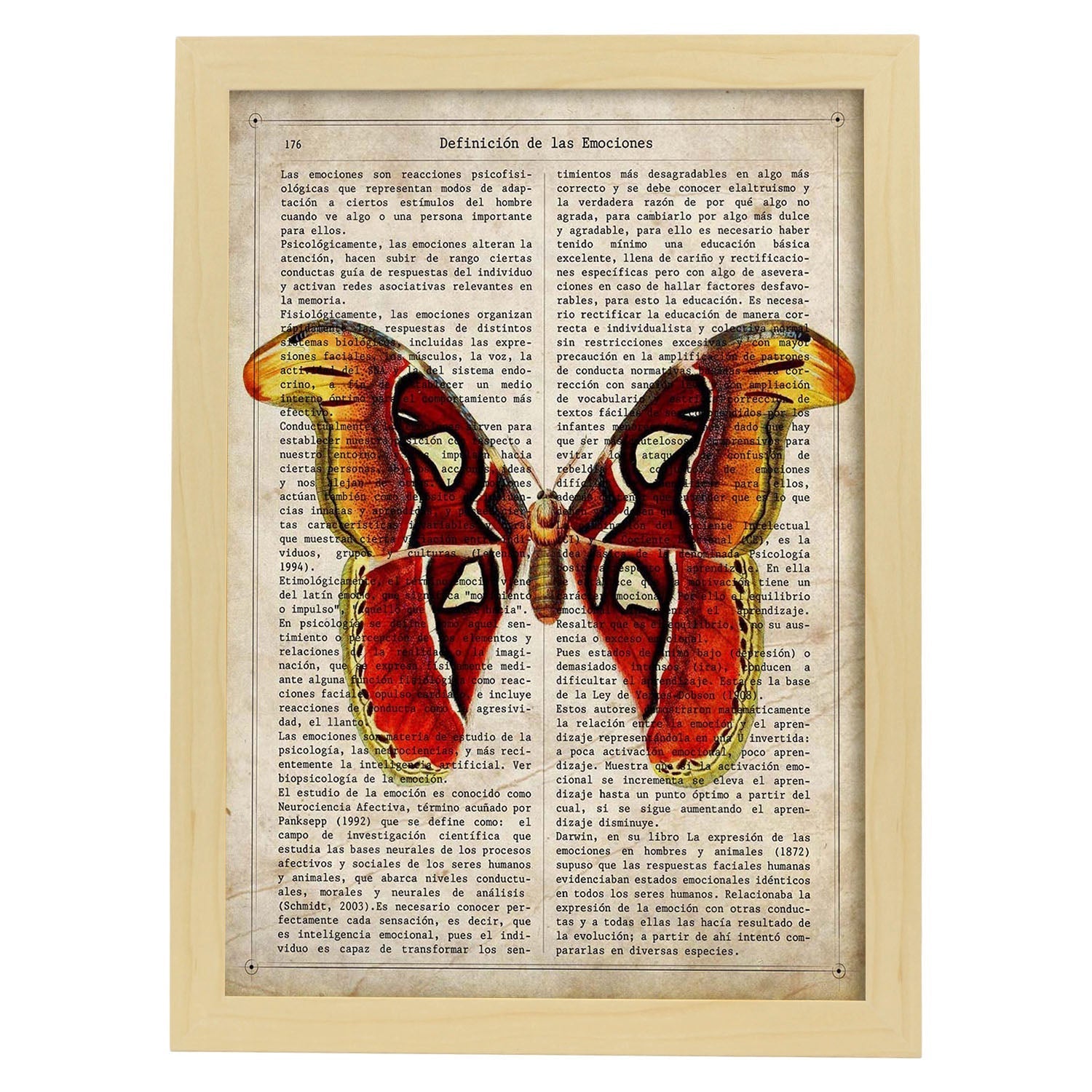 Poster de Mariposa Atlas. Láminas de mariposas. Decoración de mariposas y polillas.-Artwork-Nacnic-A3-Marco Madera clara-Nacnic Estudio SL