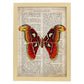 Poster de Mariposa Atlas. Láminas de mariposas. Decoración de mariposas y polillas.-Artwork-Nacnic-A4-Marco Madera clara-Nacnic Estudio SL