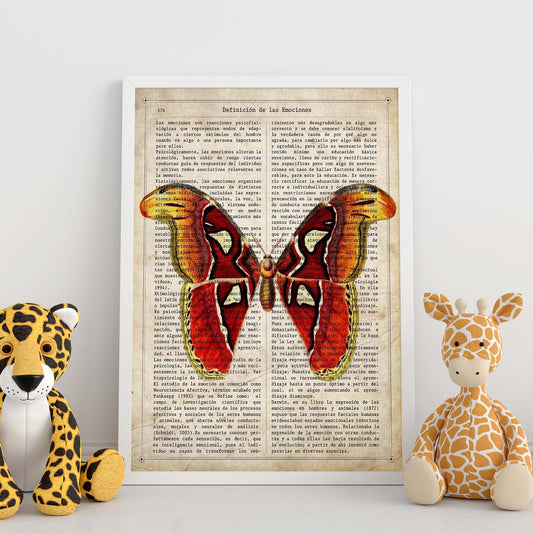 Poster de Mariposa Atlas. Láminas de mariposas. Decoración de mariposas y polillas.-Artwork-Nacnic-Nacnic Estudio SL