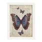 Poster de Mariposa azul negra. Láminas de mariposas. Decoración de mariposas y polillas.-Artwork-Nacnic-A3-Marco Blanco-Nacnic Estudio SL