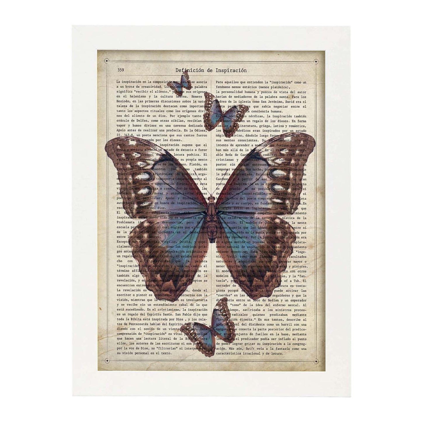 Poster de Mariposa azul negra. Láminas de mariposas. Decoración de mariposas y polillas.-Artwork-Nacnic-A4-Marco Blanco-Nacnic Estudio SL