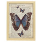 Poster de Mariposa azul negra. Láminas de mariposas. Decoración de mariposas y polillas.-Artwork-Nacnic-A4-Marco Madera clara-Nacnic Estudio SL