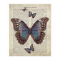 Poster de Mariposa azul negra. Láminas de mariposas. Decoración de mariposas y polillas.-Artwork-Nacnic-A4-Sin marco-Nacnic Estudio SL