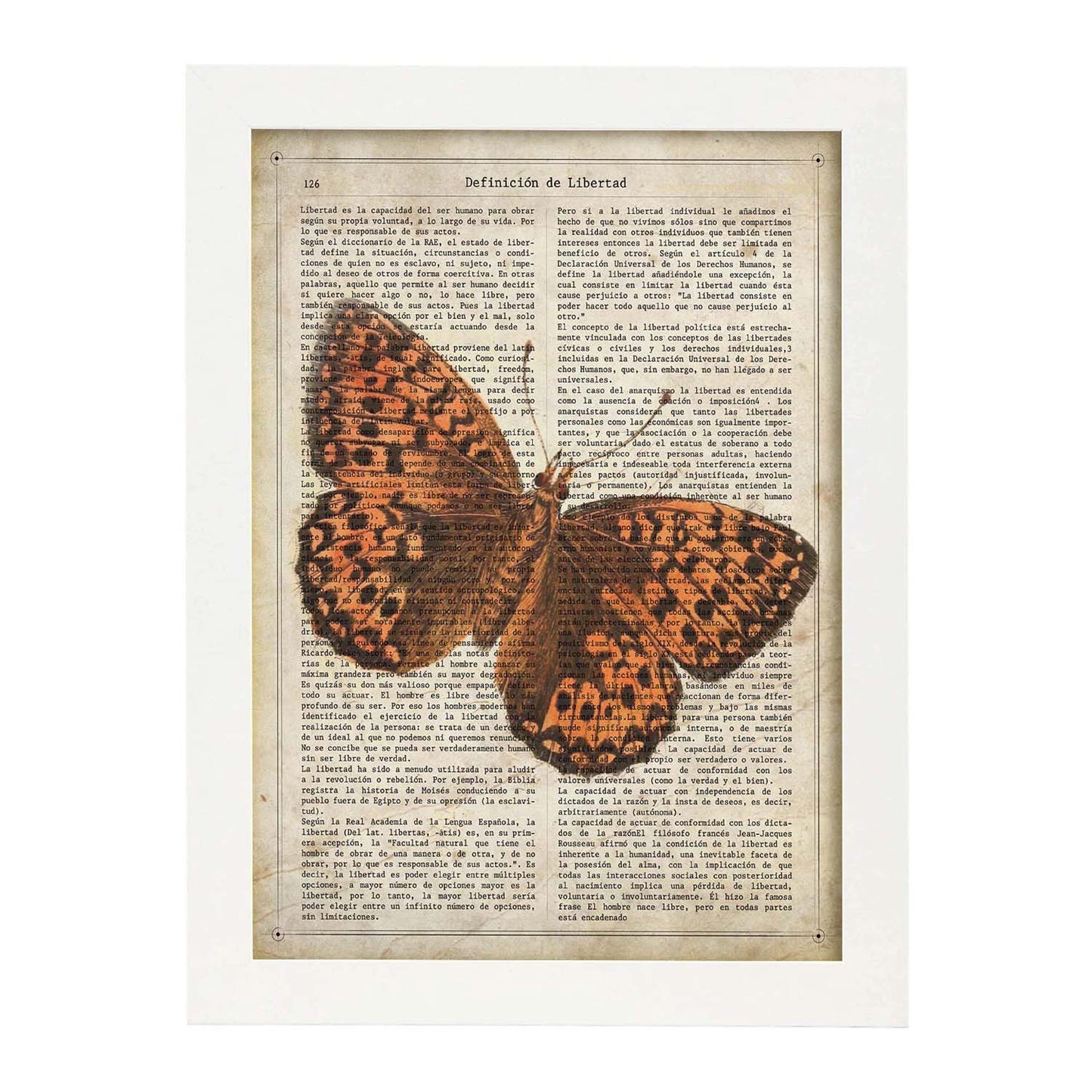 Poster de Mariposa Hamearis. Láminas de mariposas. Decoración de mariposas y polillas.-Artwork-Nacnic-A3-Marco Blanco-Nacnic Estudio SL