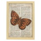 Poster de Mariposa Hamearis. Láminas de mariposas. Decoración de mariposas y polillas.-Artwork-Nacnic-A3-Marco Madera clara-Nacnic Estudio SL