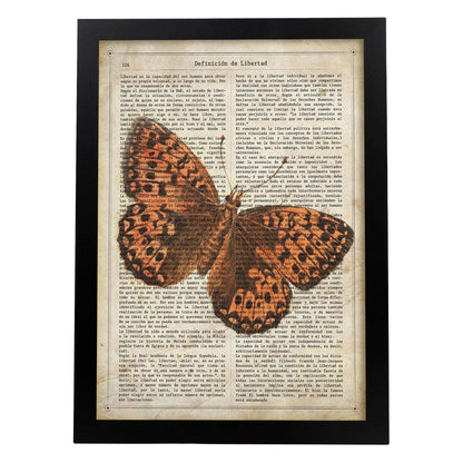Poster de Mariposa Hamearis. Láminas de mariposas. Decoración de mariposas y polillas.-Artwork-Nacnic-A4-Marco Negro-Nacnic Estudio SL
