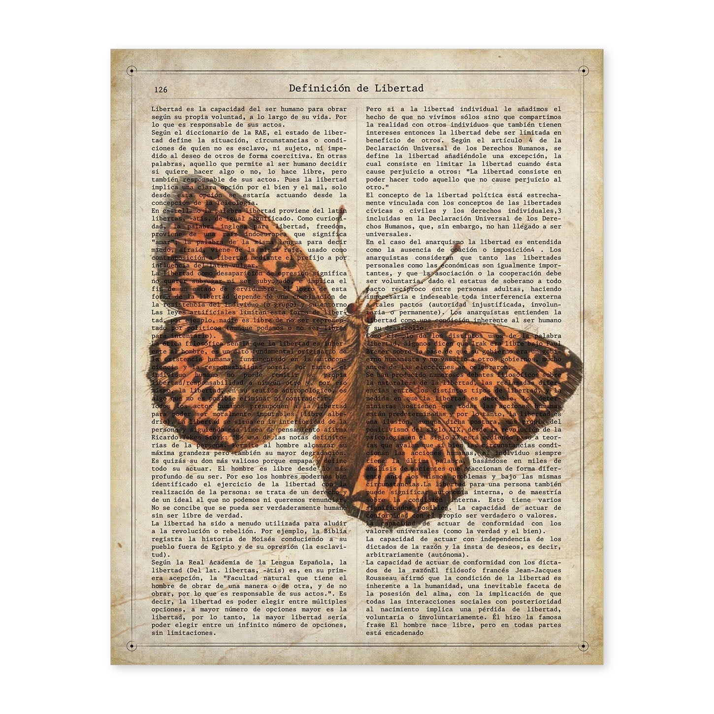 Poster de Mariposa Hamearis. Láminas de mariposas. Decoración de mariposas y polillas.-Artwork-Nacnic-A4-Sin marco-Nacnic Estudio SL