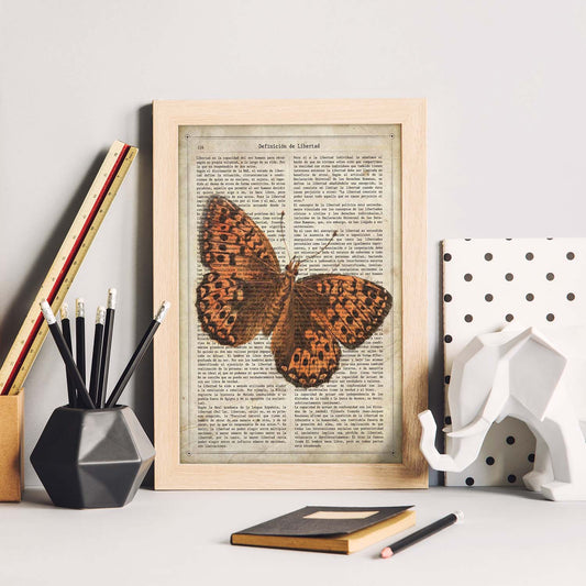 Poster de Mariposa Hamearis. Láminas de mariposas. Decoración de mariposas y polillas.-Artwork-Nacnic-Nacnic Estudio SL