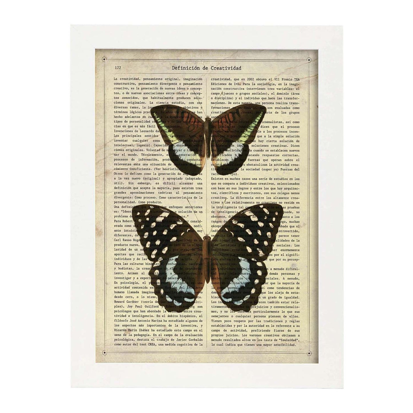 Poster de Mariposa Lexias. Láminas de mariposas. Decoración de mariposas y polillas.-Artwork-Nacnic-A3-Marco Blanco-Nacnic Estudio SL