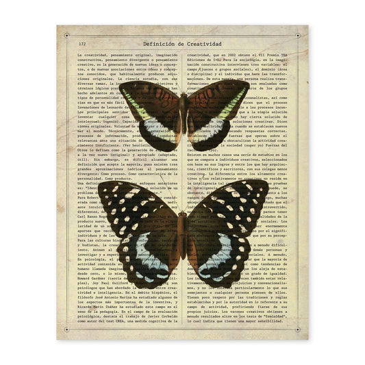 Poster de Mariposa Lexias. Láminas de mariposas. Decoración de mariposas y polillas.-Artwork-Nacnic-A4-Sin marco-Nacnic Estudio SL