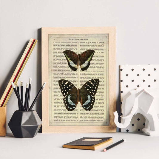Poster de Mariposa Lexias. Láminas de mariposas. Decoración de mariposas y polillas.-Artwork-Nacnic-Nacnic Estudio SL