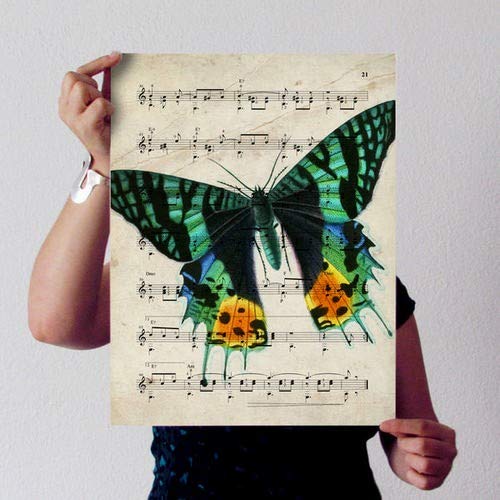 Poster de Mariposa Macaon verde. Láminas de mariposas. Decoración de mariposas y polillas.-Artwork-Nacnic-Nacnic Estudio SL