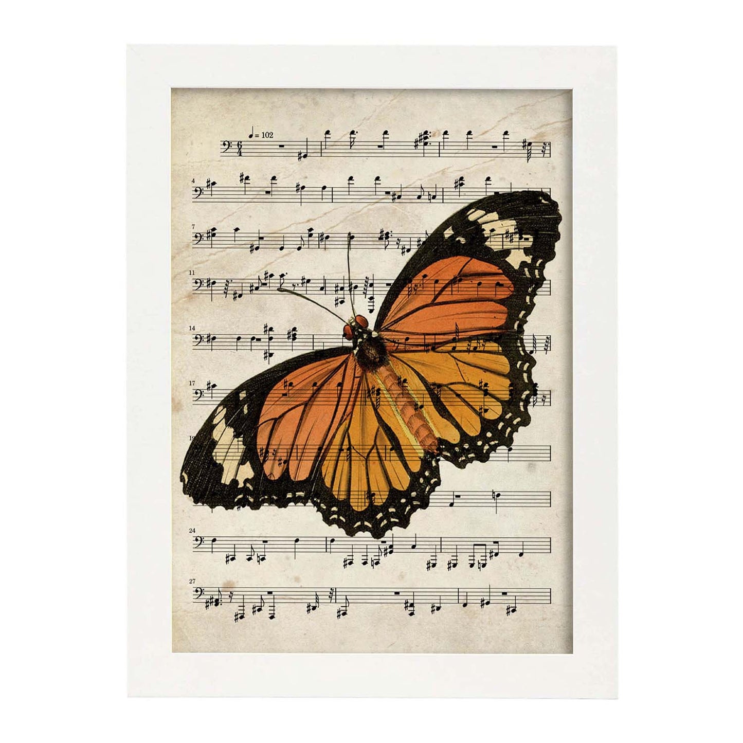 Poster de Mariposa Monarca. Láminas de mariposas. Decoración de mariposas y polillas.-Artwork-Nacnic-A3-Marco Blanco-Nacnic Estudio SL