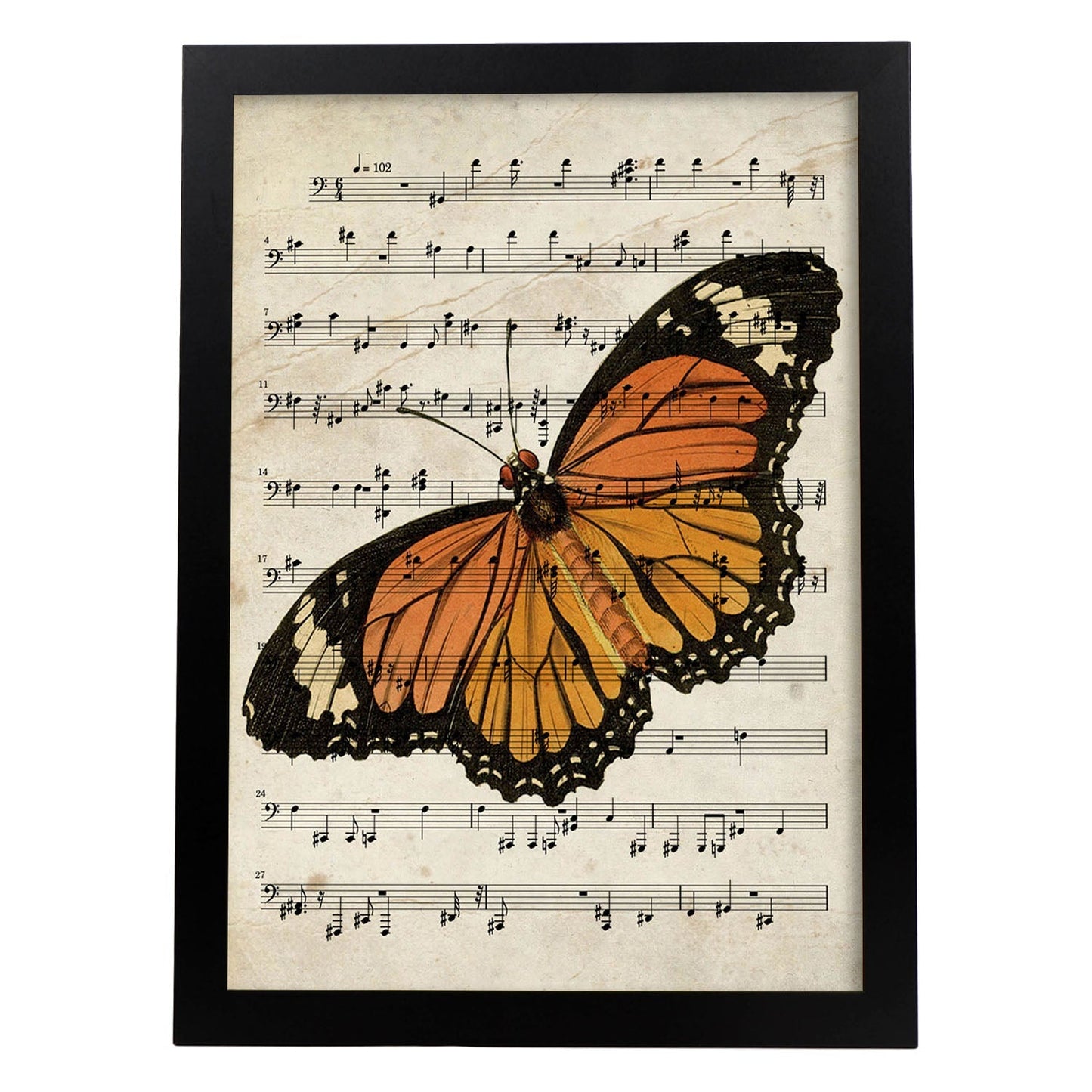 Poster de Mariposa Monarca. Láminas de mariposas. Decoración de mariposas y polillas.-Artwork-Nacnic-A3-Marco Negro-Nacnic Estudio SL