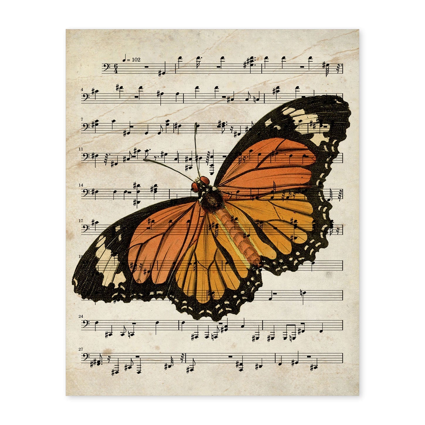 Poster de Mariposa Monarca. Láminas de mariposas. Decoración de mariposas y polillas.-Artwork-Nacnic-A4-Sin marco-Nacnic Estudio SL