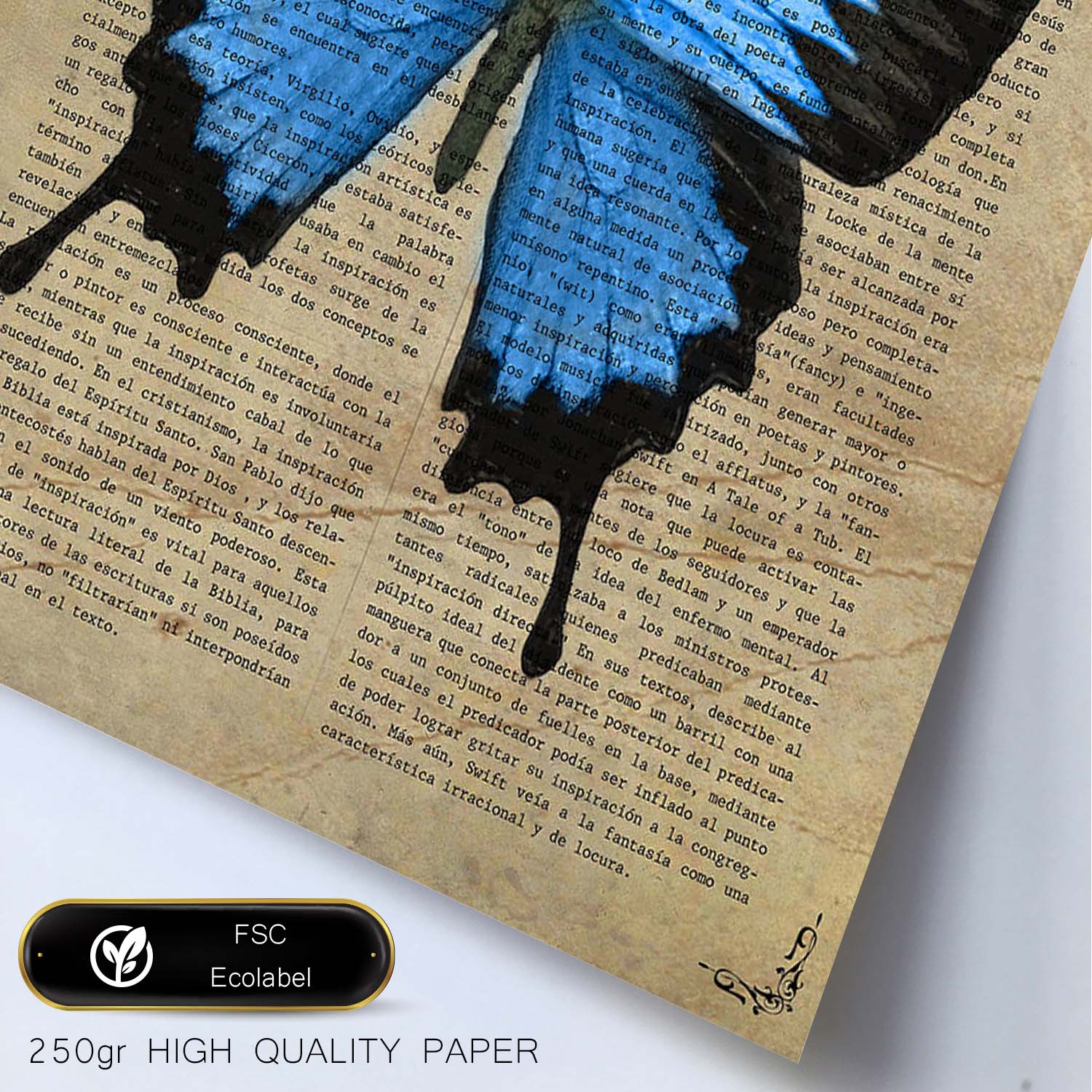 Poster de Mariposa Morfo azul. Láminas de mariposas. Decoración de mariposas y polillas.-Artwork-Nacnic-Nacnic Estudio SL