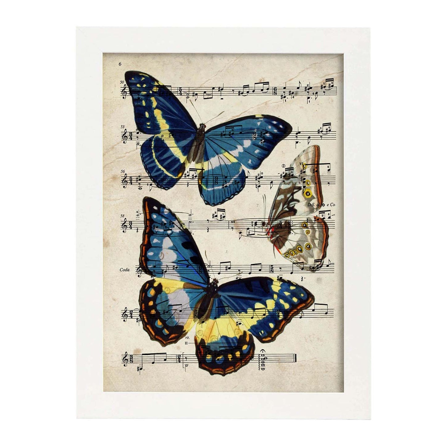 Poster de Mariposa Morpho. Láminas de mariposas. Decoración de mariposas y polillas.-Artwork-Nacnic-A3-Marco Blanco-Nacnic Estudio SL