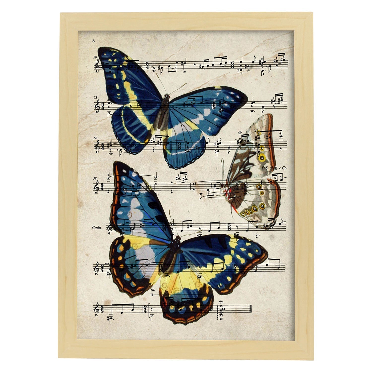 Poster de Mariposa Morpho. Láminas de mariposas. Decoración de mariposas y polillas.-Artwork-Nacnic-A3-Marco Madera clara-Nacnic Estudio SL