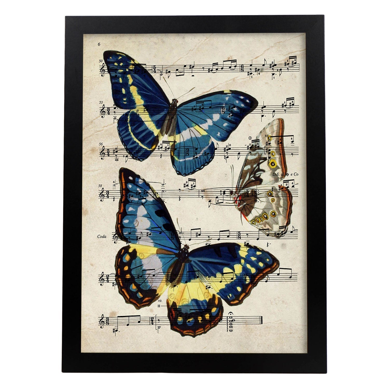 Poster de Mariposa Morpho. Láminas de mariposas. Decoración de mariposas y polillas.-Artwork-Nacnic-A3-Marco Negro-Nacnic Estudio SL