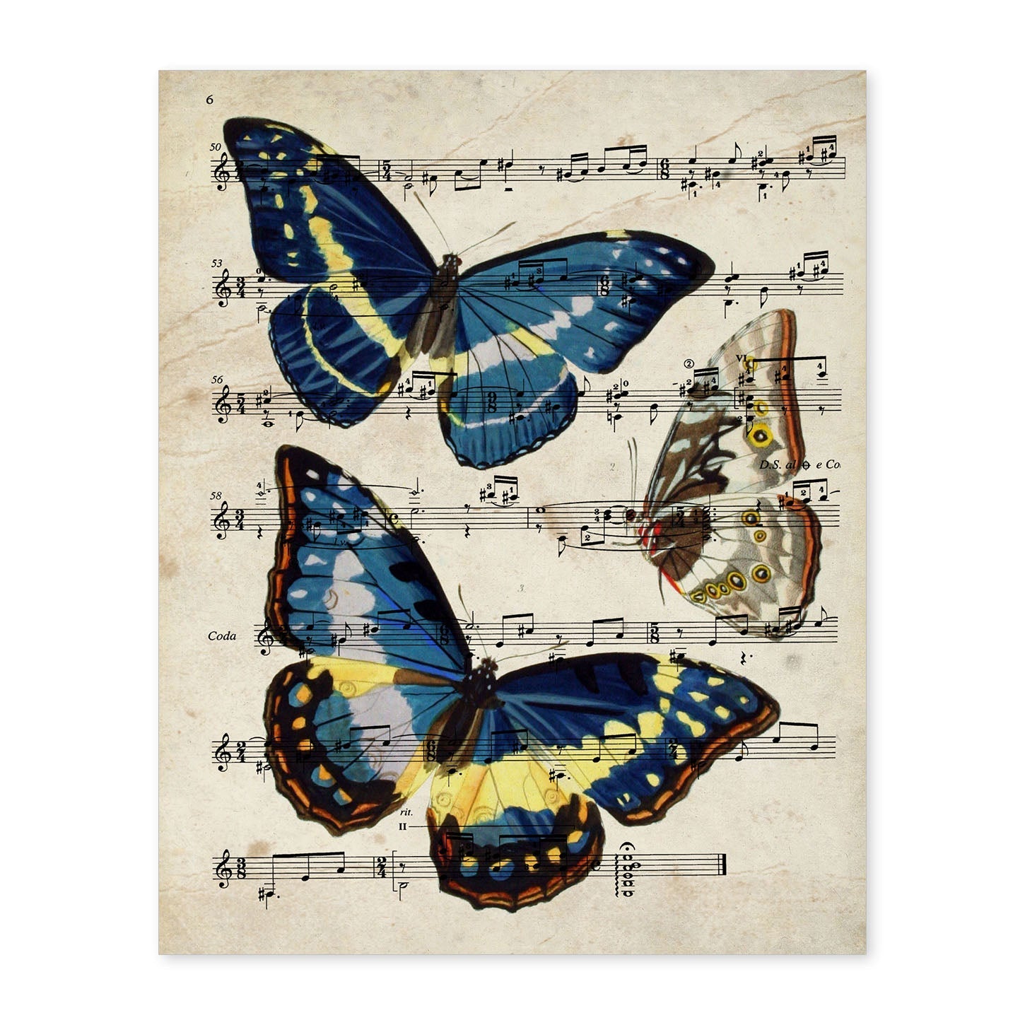 Poster de Mariposa Morpho. Láminas de mariposas. Decoración de mariposas y polillas.-Artwork-Nacnic-A4-Sin marco-Nacnic Estudio SL