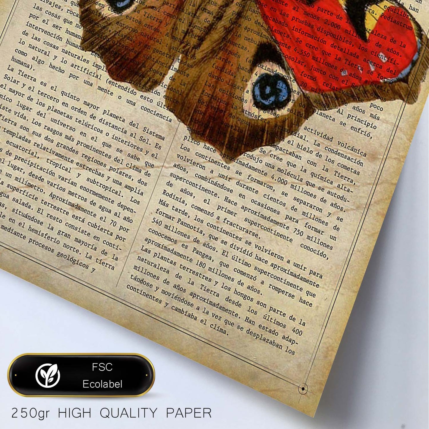Poster de Mariposa Pavo real. Láminas de mariposas. Decoración de mariposas y polillas.-Artwork-Nacnic-Nacnic Estudio SL