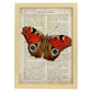 Poster de Mariposa Pavo real. Láminas de mariposas. Decoración de mariposas y polillas.-Artwork-Nacnic-A3-Marco Madera clara-Nacnic Estudio SL