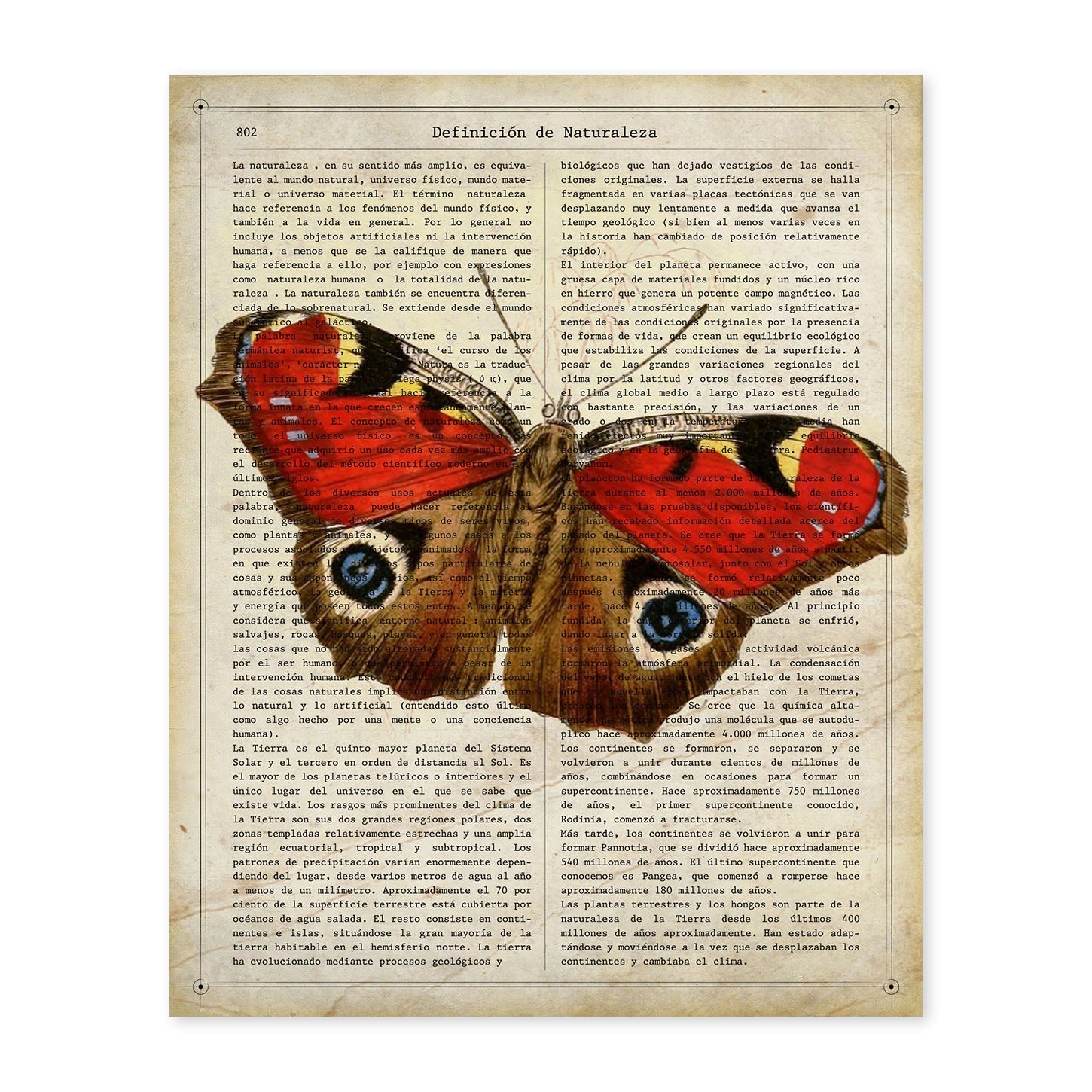 Poster de Mariposa Pavo real. Láminas de mariposas. Decoración de mariposas y polillas.-Artwork-Nacnic-A4-Sin marco-Nacnic Estudio SL