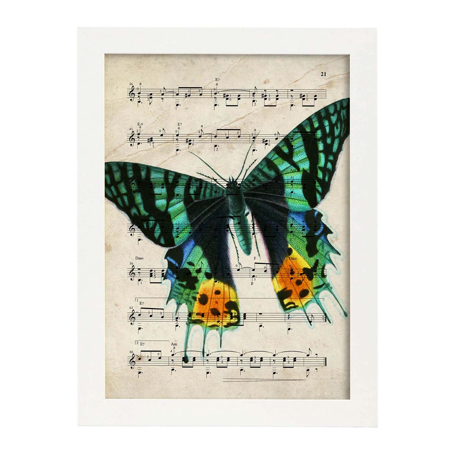 Poster de Mariposa verde. Láminas de mariposas. Decoración de mariposas y polillas.-Artwork-Nacnic-A3-Marco Blanco-Nacnic Estudio SL