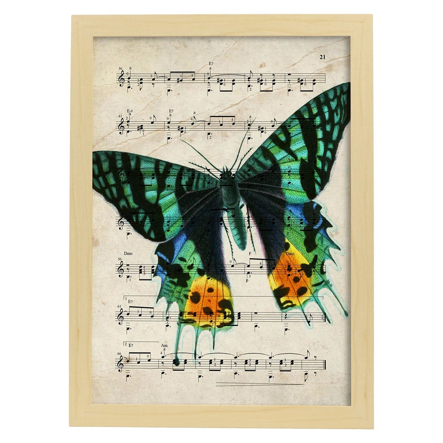 Poster de Mariposa verde. Láminas de mariposas. Decoración de mariposas y polillas.-Artwork-Nacnic-A3-Marco Madera clara-Nacnic Estudio SL