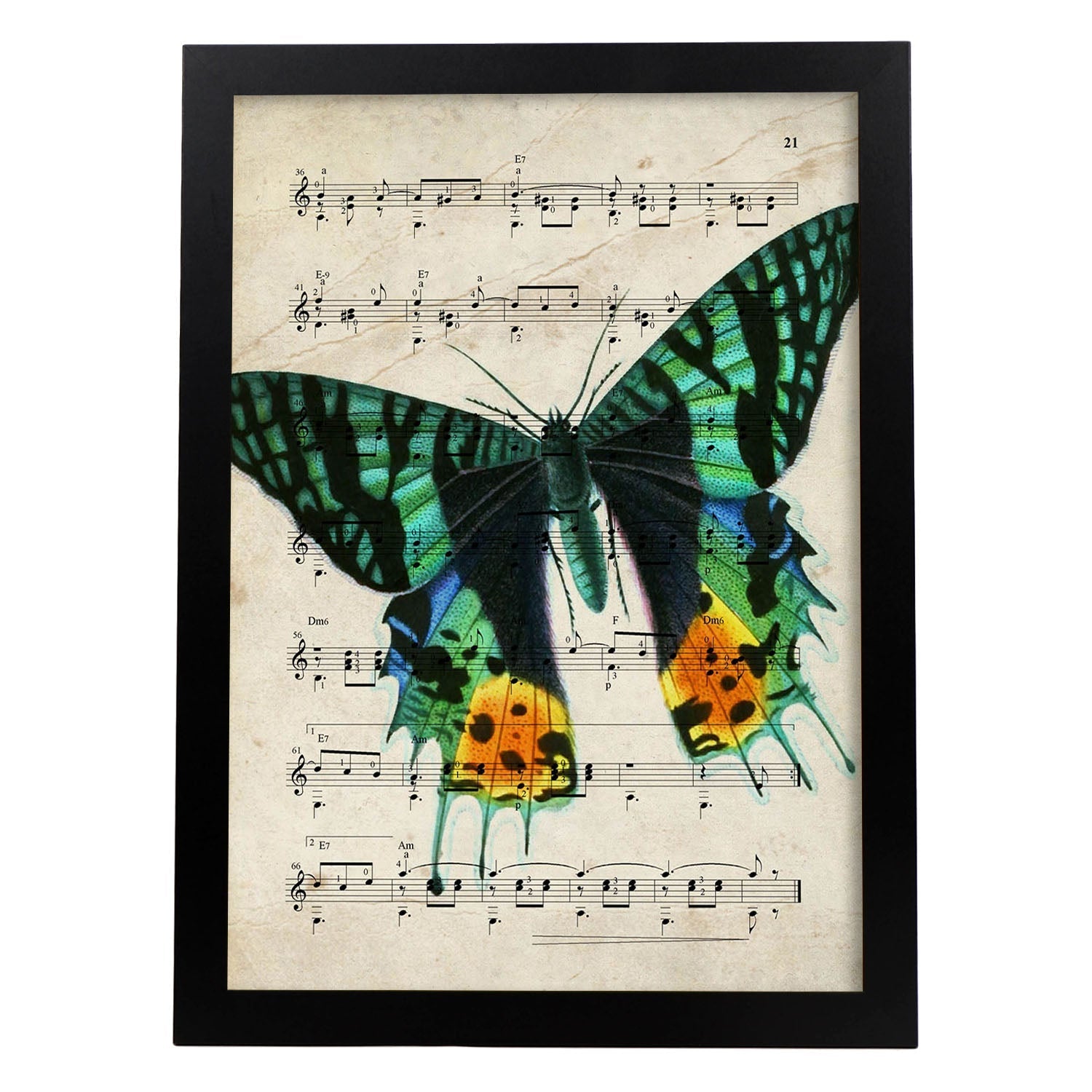 Poster de Mariposa verde. Láminas de mariposas. Decoración de mariposas y polillas.-Artwork-Nacnic-A3-Marco Negro-Nacnic Estudio SL
