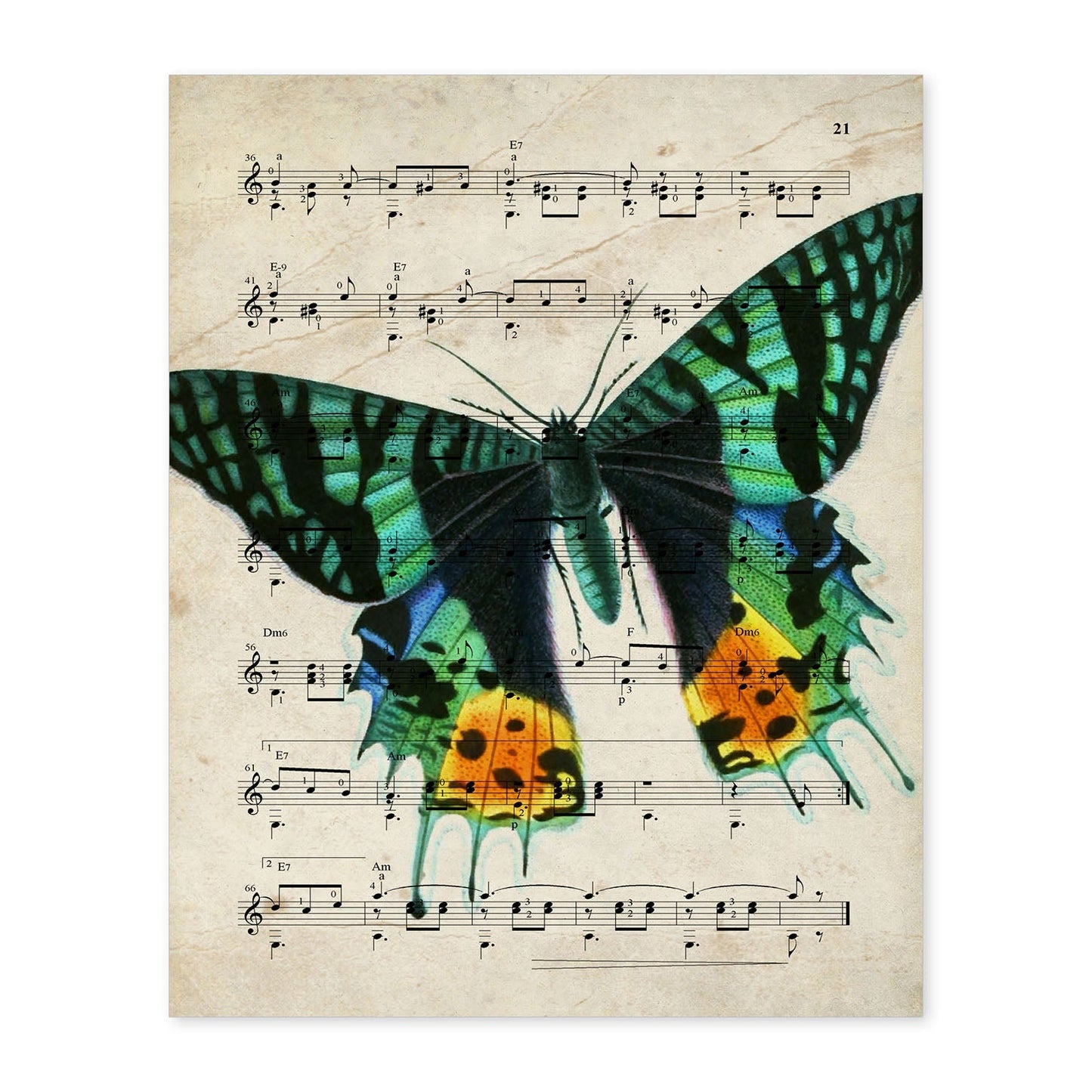 Poster de Mariposa verde. Láminas de mariposas. Decoración de mariposas y polillas.-Artwork-Nacnic-A4-Sin marco-Nacnic Estudio SL