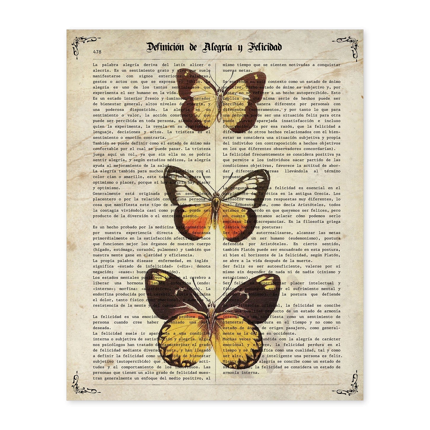 Poster de Mariposas Pieris 2. Láminas de mariposas. Decoración de mariposas y polillas.-Artwork-Nacnic-A4-Sin marco-Nacnic Estudio SL