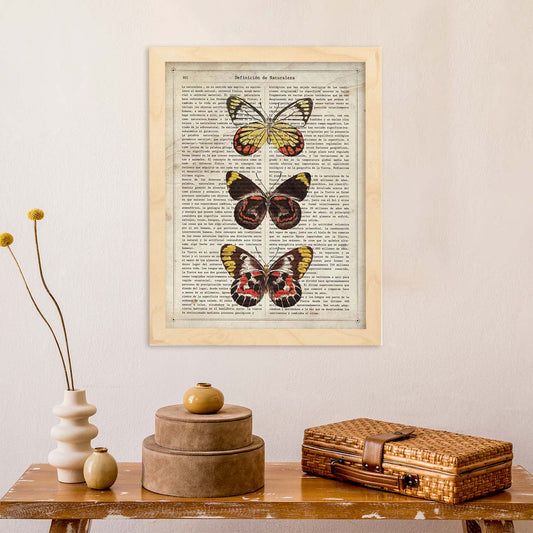 Poster de Mariposas Pieris. Láminas de mariposas. Decoración de mariposas y polillas.-Artwork-Nacnic-Nacnic Estudio SL