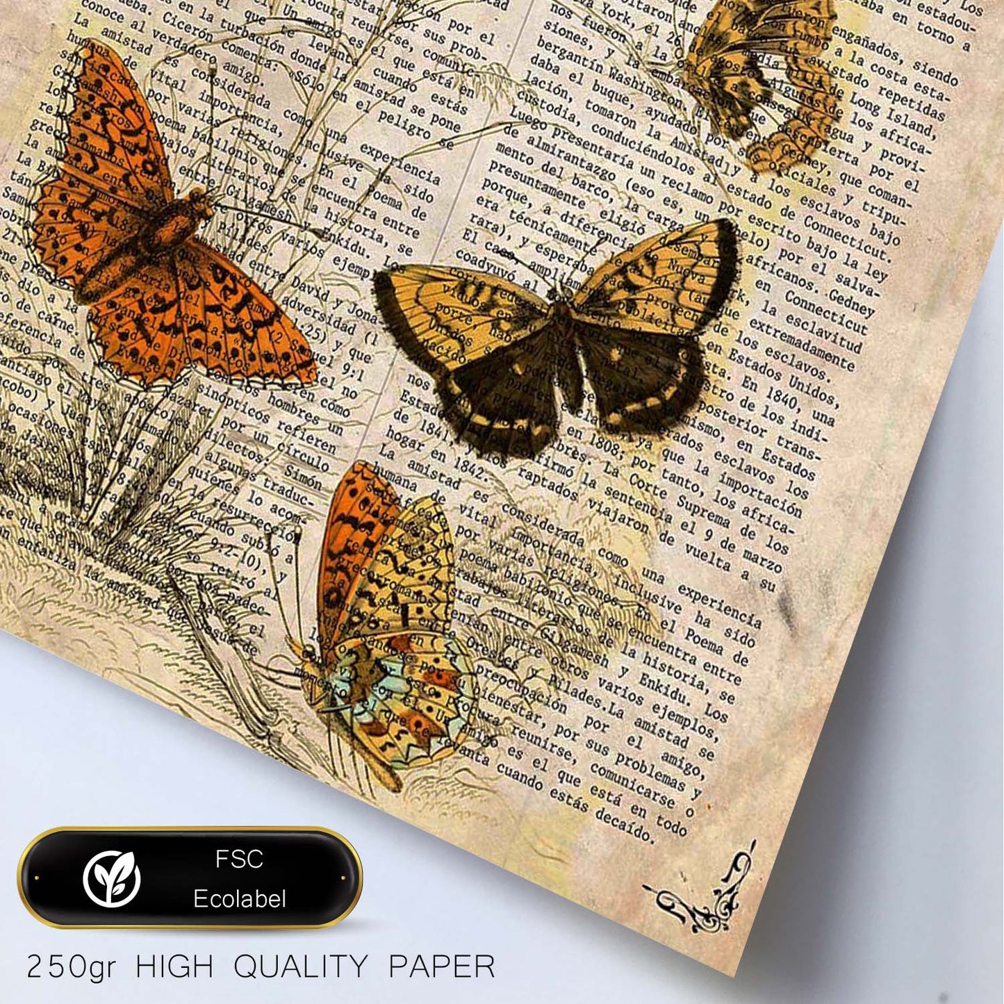 Poster de Mariposas revoloteando. Láminas de mariposas. Decoración de mariposas y polillas.-Artwork-Nacnic-Nacnic Estudio SL