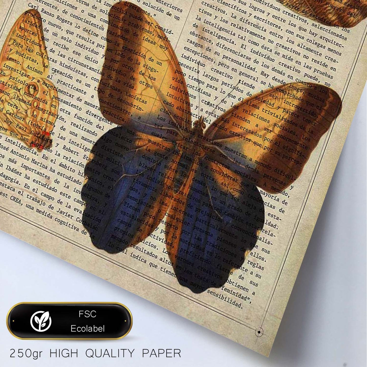 Poster de Mariposas Wood-Nymph. Láminas de mariposas. Decoración de mariposas y polillas.-Artwork-Nacnic-Nacnic Estudio SL