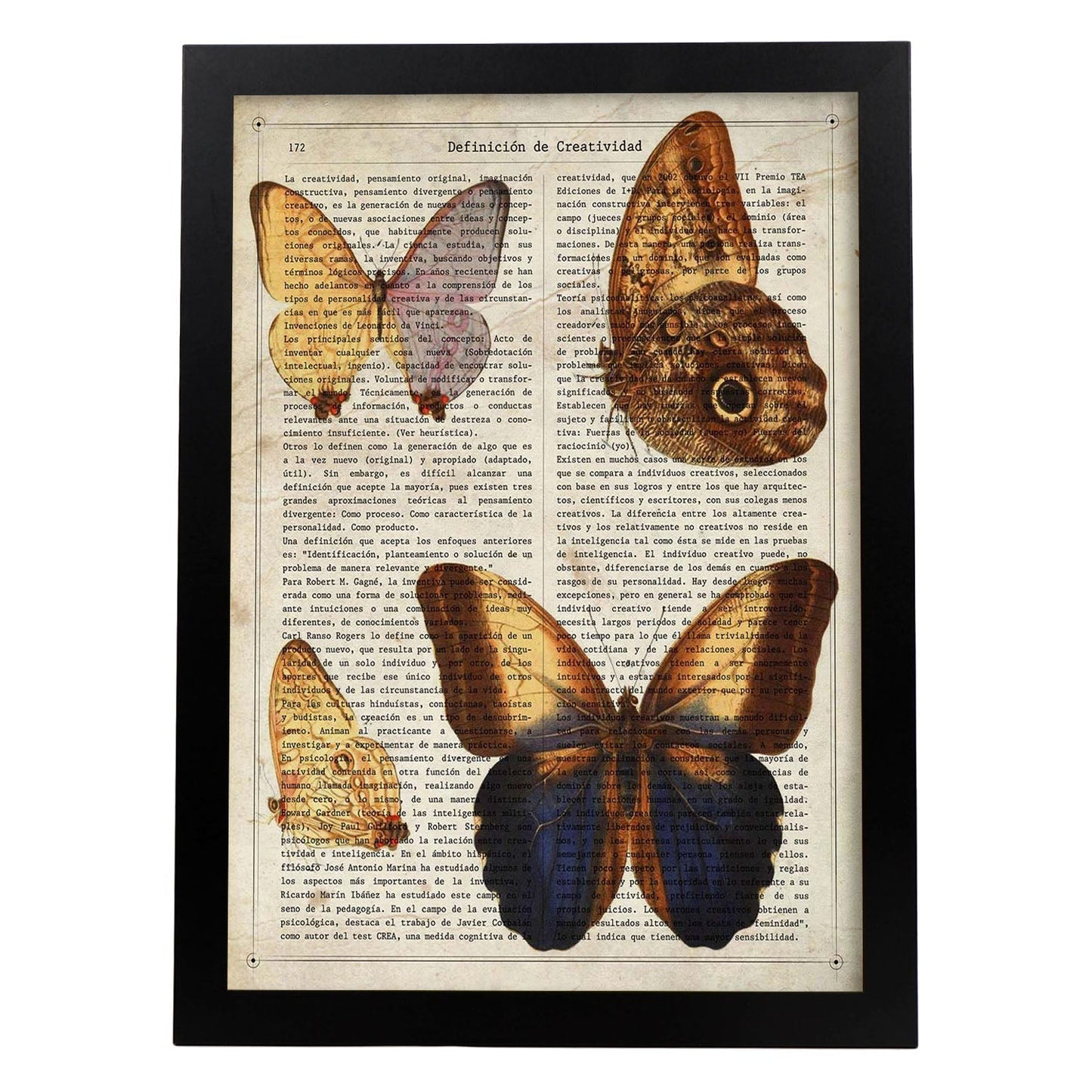 Poster de Mariposas Wood-Nymph. Láminas de mariposas. Decoración de mariposas y polillas.-Artwork-Nacnic-A3-Marco Negro-Nacnic Estudio SL