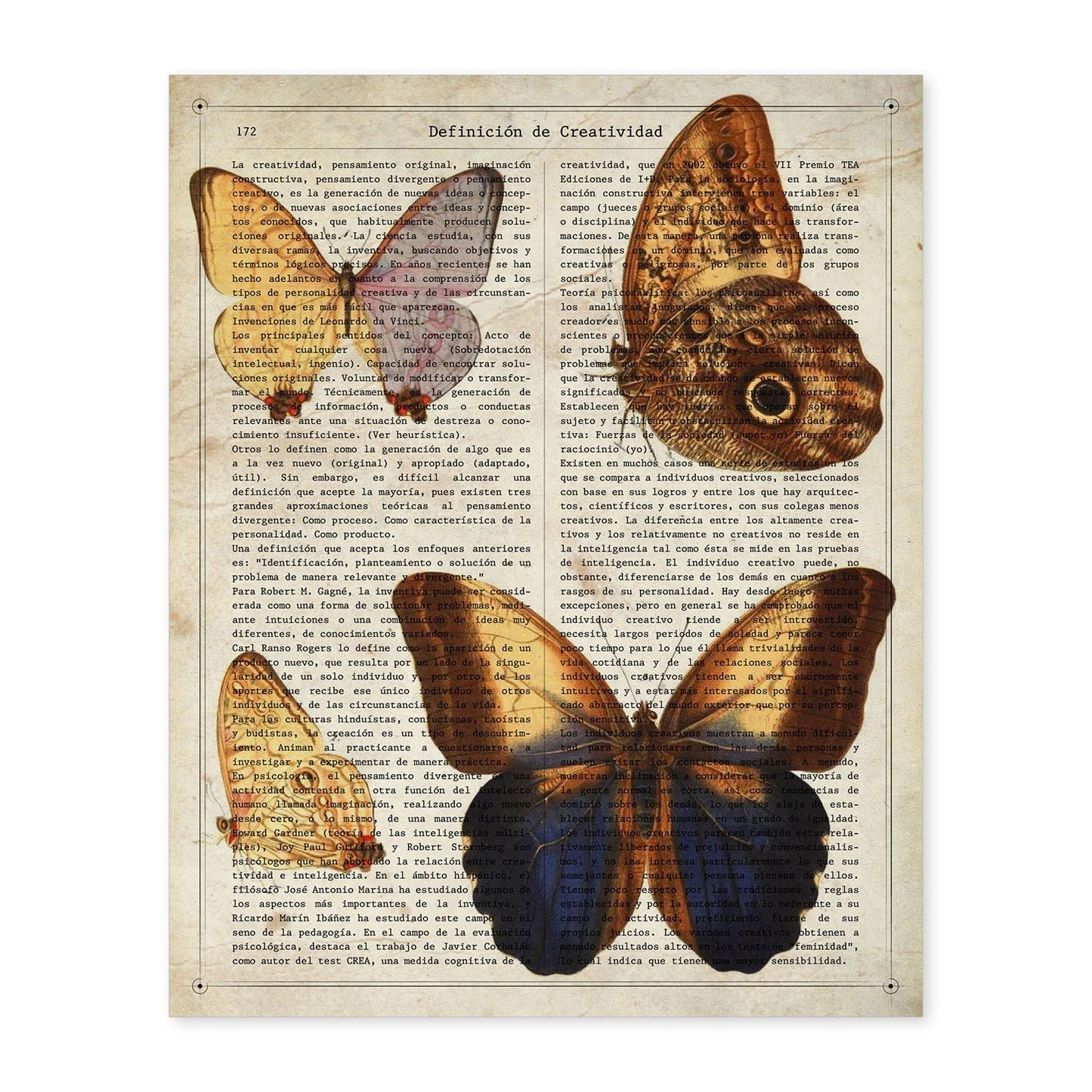 Poster de Mariposas Wood-Nymph. Láminas de mariposas. Decoración de mariposas y polillas.-Artwork-Nacnic-A4-Sin marco-Nacnic Estudio SL