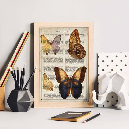 Poster de Mariposas Wood-Nymph. Láminas de mariposas. Decoración de mariposas y polillas.-Artwork-Nacnic-Nacnic Estudio SL