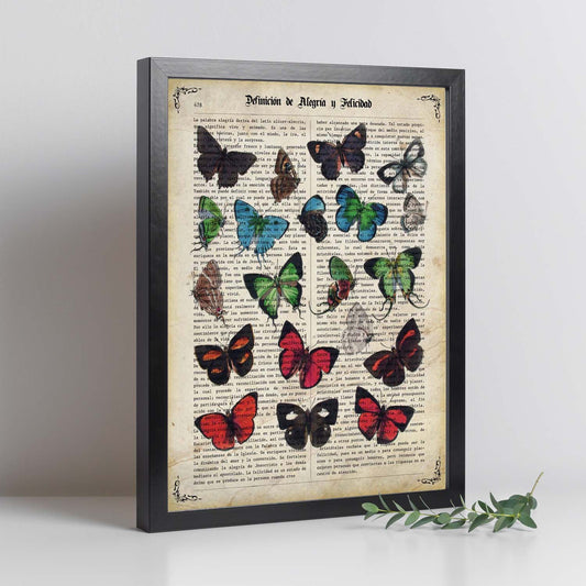 Poster de Mariposas. Láminas de mariposas. Decoración de mariposas y polillas.-Artwork-Nacnic-Nacnic Estudio SL