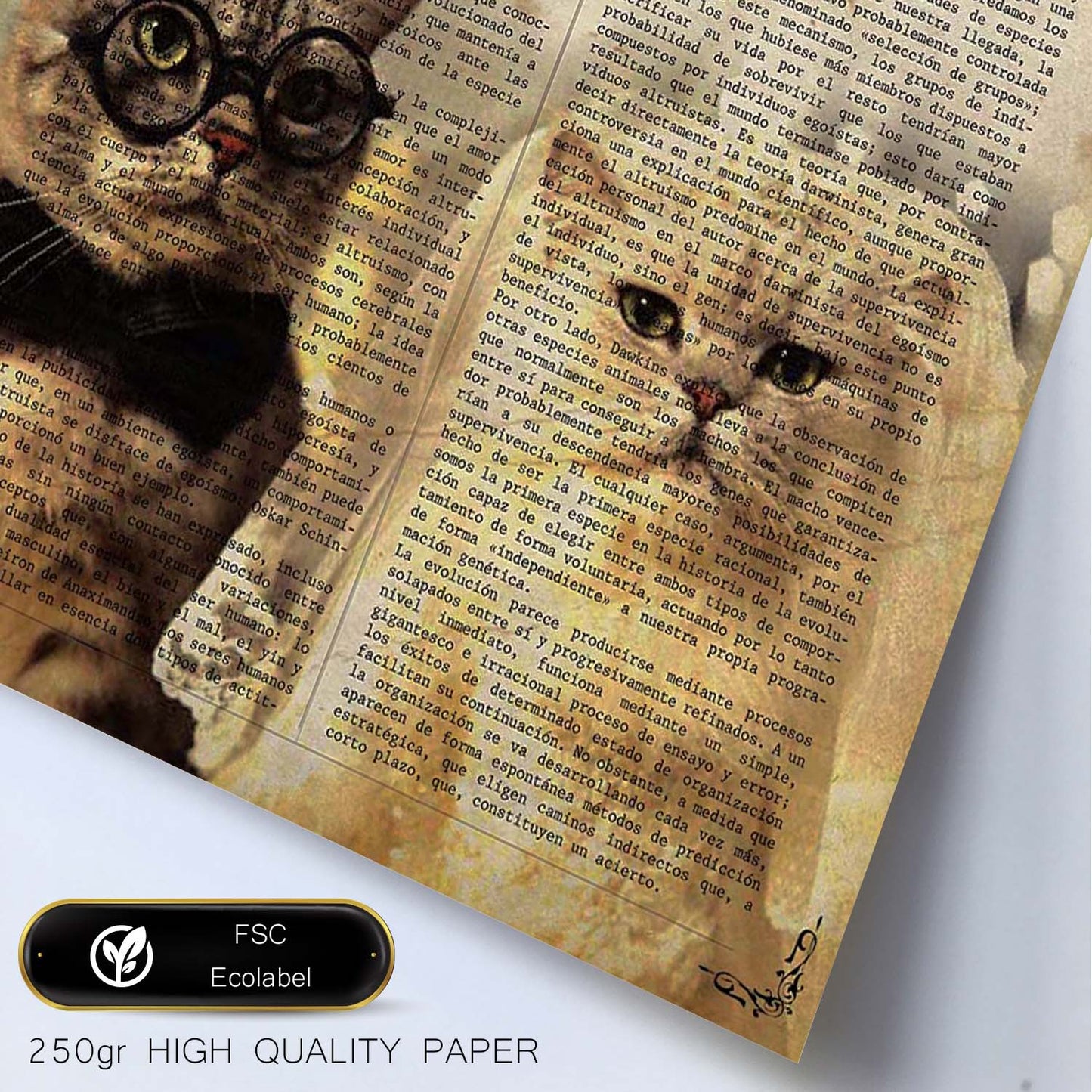 Poster de Matrimonio de gatos. Láminas de animales con definiciones. Ilustraciones de animales con textos.-Artwork-Nacnic-Nacnic Estudio SL