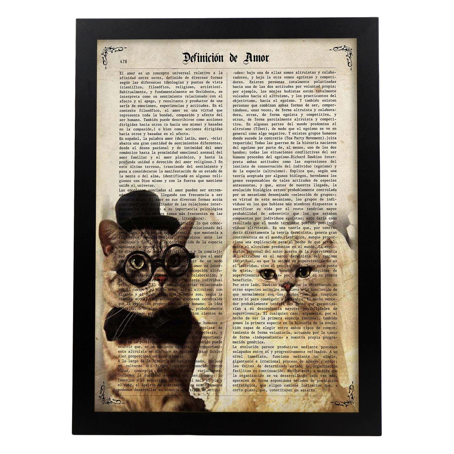 Poster de Matrimonio de gatos. Láminas de animales con definiciones. Ilustraciones de animales con textos.-Artwork-Nacnic-A3-Marco Negro-Nacnic Estudio SL